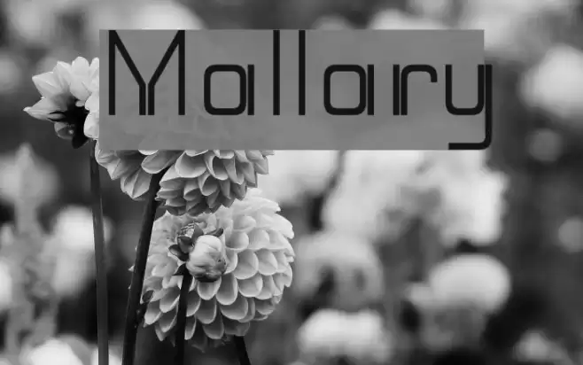 Mallary Font examples