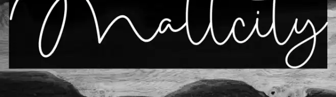 Mallcity Font examples