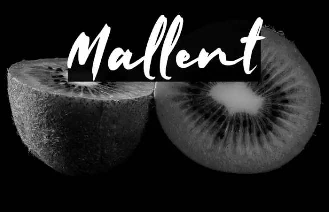 Mallent Example 1