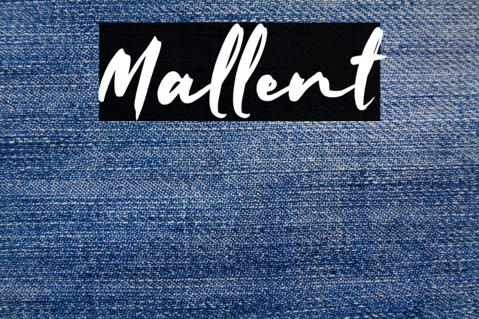 Mallent Example 2