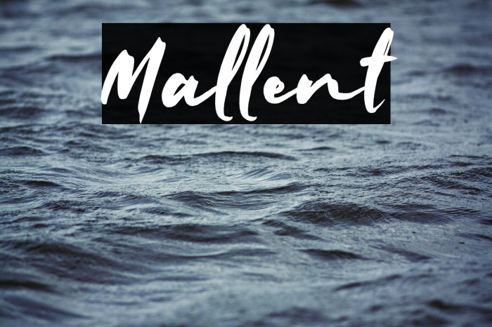 Mallent Example 3