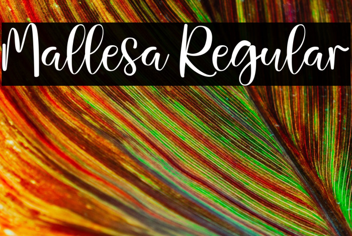 Mallesa Regular Example 3