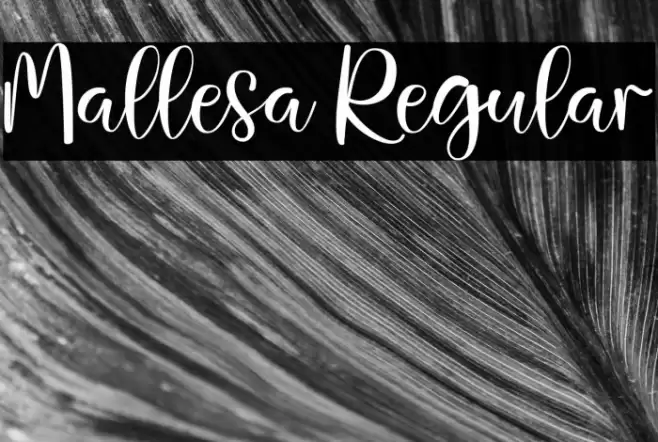 Mallesa Regular Font examples