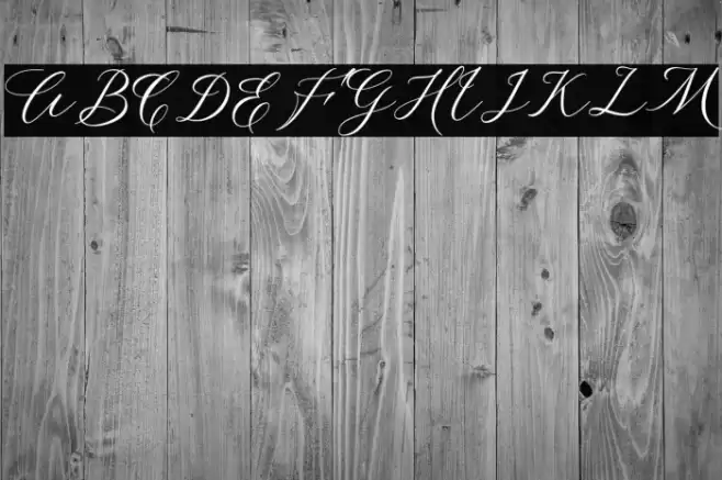 MalliandraScriptDEMO Font examples