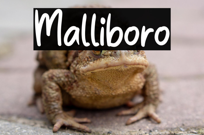 Malliboro Example 1