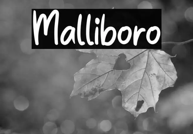 Malliboro Example 2