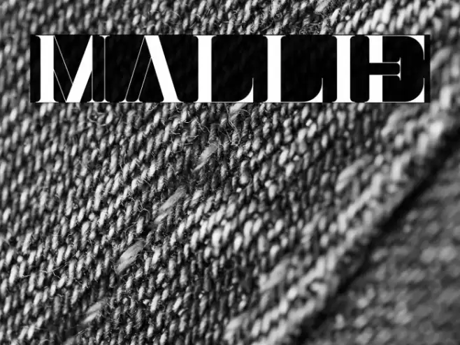Mallie Font examples