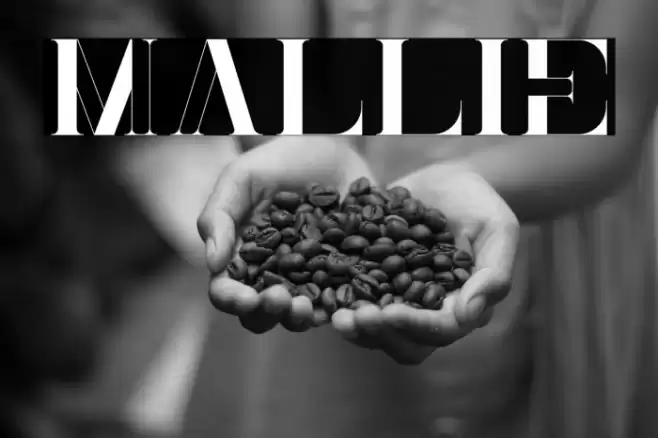 Mallie Font examples