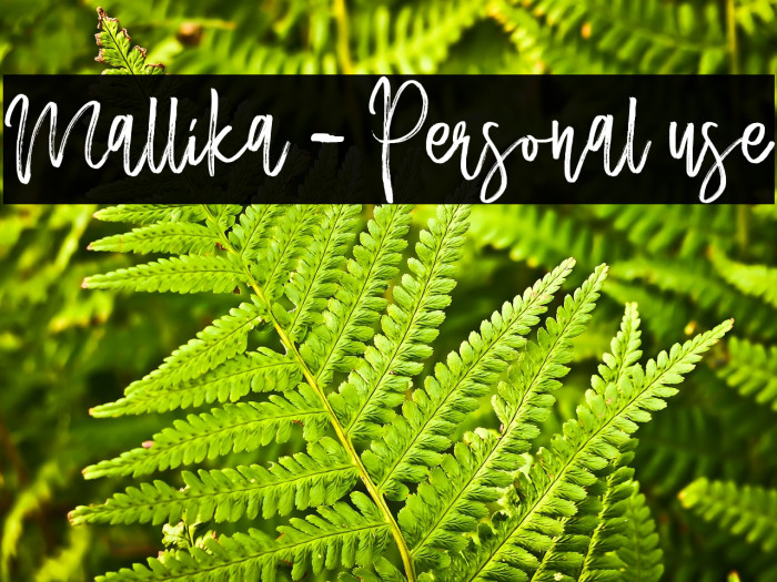 Mallika - Personal use Example 2