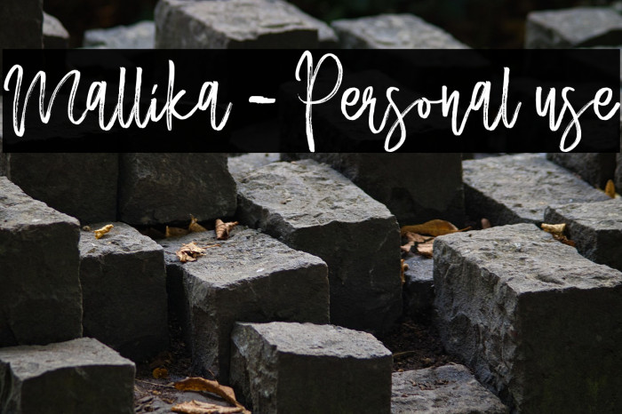 Mallika - Personal use Example 3