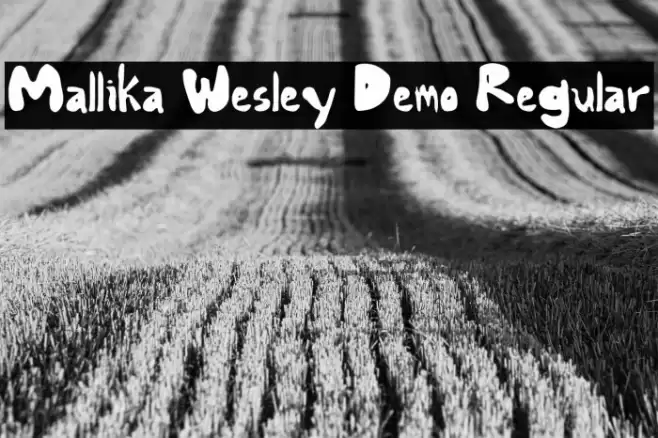 Mallika Wesley Demo Regular Schriftart examples