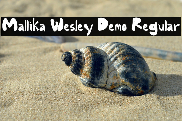 Mallika Wesley Demo Regular Example 2
