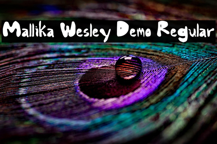 Mallika Wesley Demo Regular Example 3