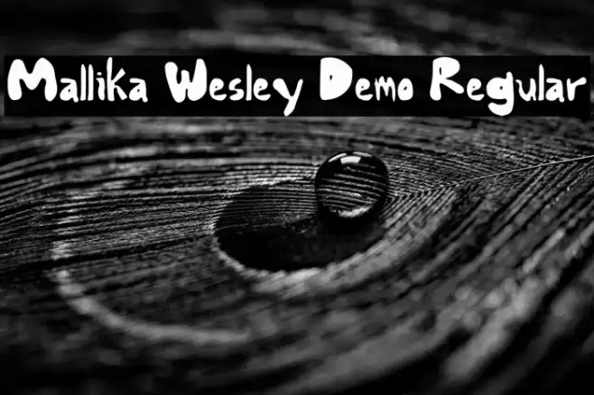 Mallika Wesley Demo Regular Schriftart examples
