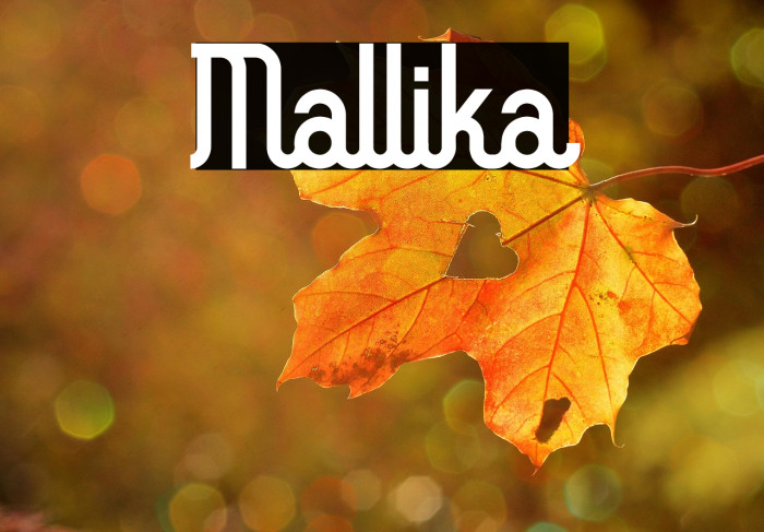 Mallika Example 1