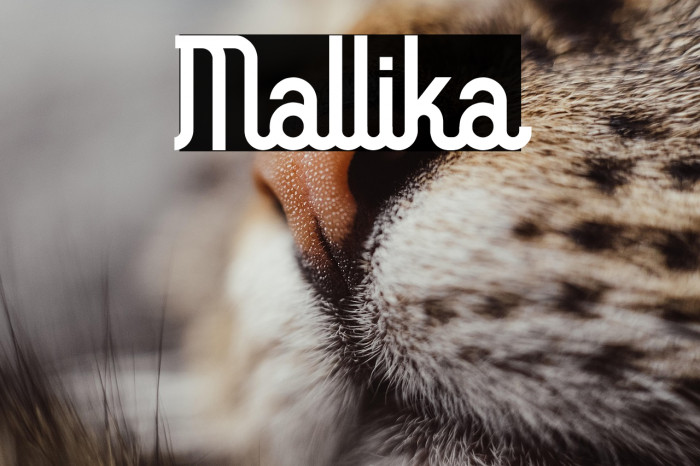 Mallika Example 3