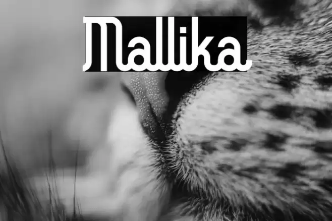 Mallika Font examples