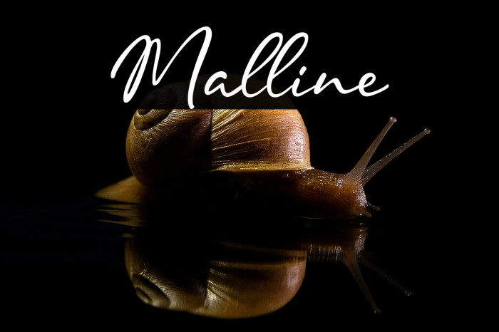 Malline Example 1