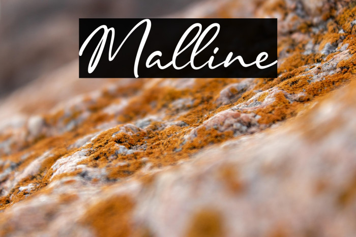 Malline Example 2