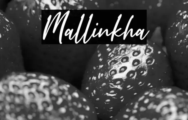 Mallinkha Example 1