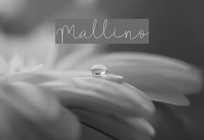 Mallino Font examples