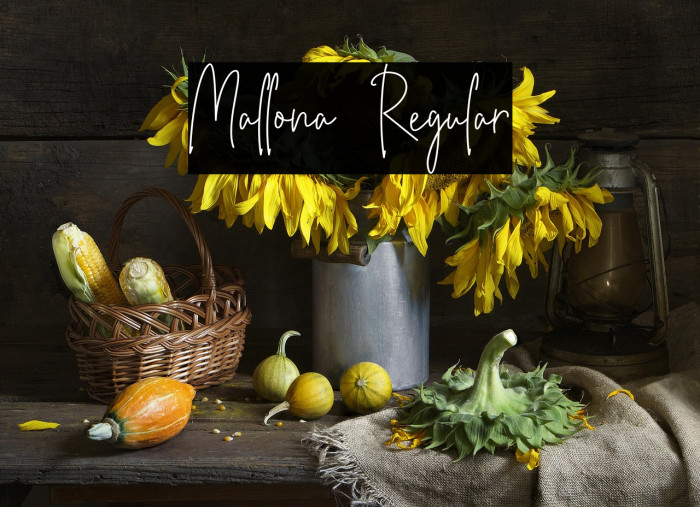 Mallona Regular Example 3