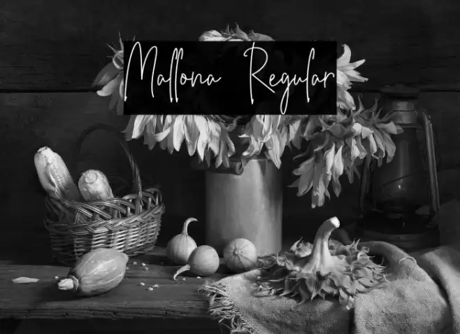 Mallona Regular Caratteri examples