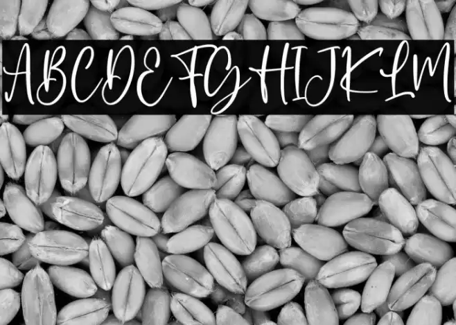 Mallorist Font examples