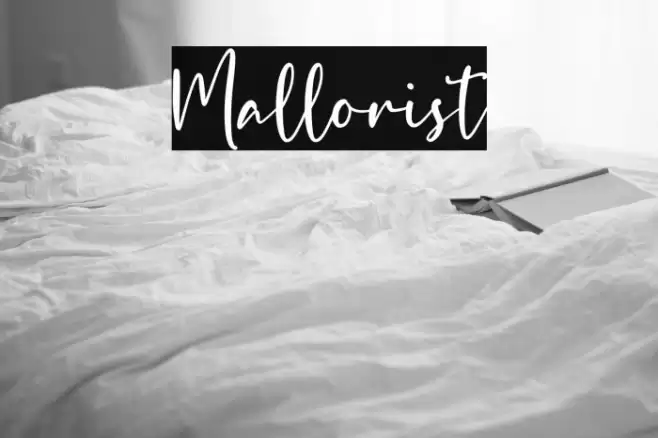 Mallorist Font examples