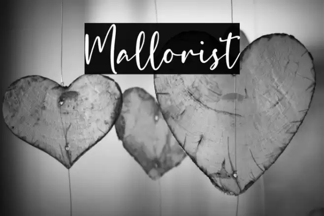 Mallorist Font examples