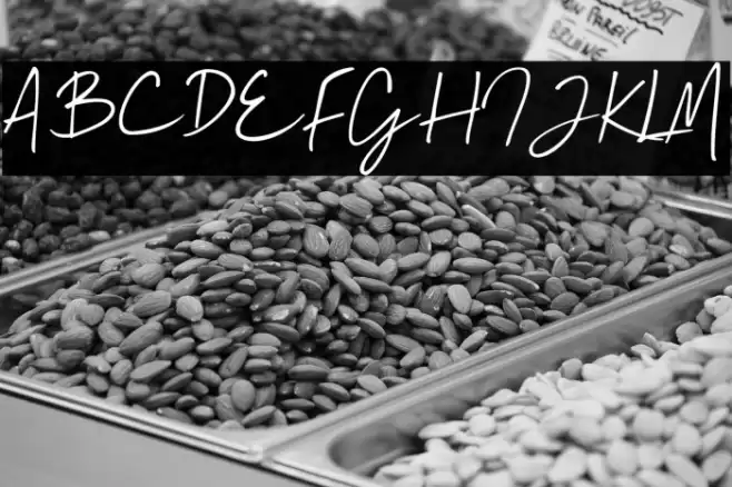 Mallory Quon Font examples