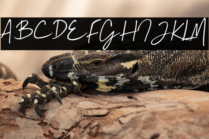 Mallory Quon Example 2