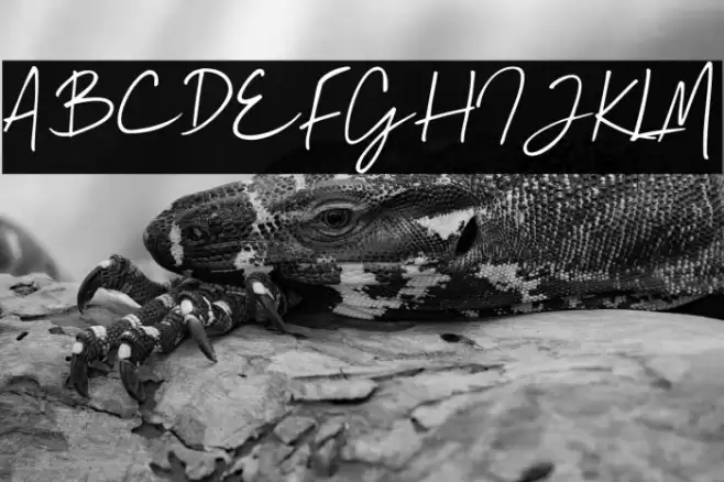 Mallory Quon Font examples