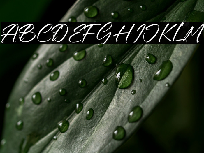 Mallory Santiago Example 1