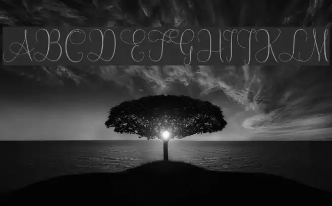 MallowScript Font examples