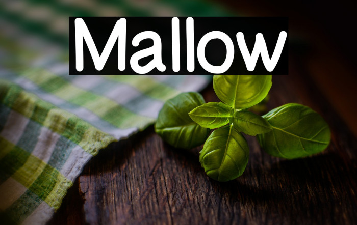 Mallow Example 1