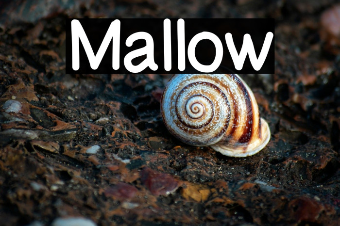 Mallow Example 2