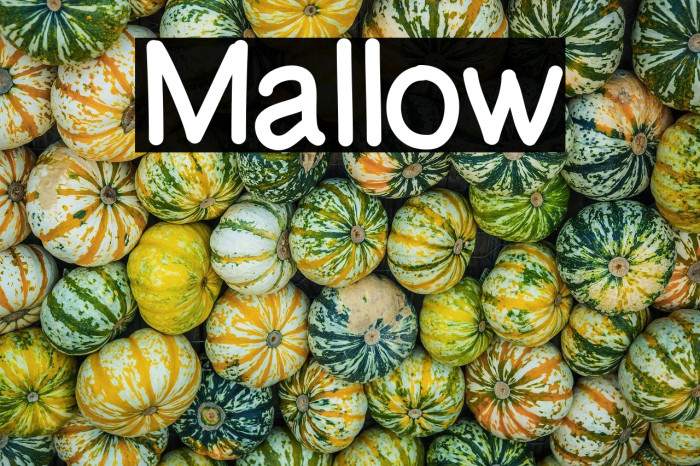 Mallow Example 3