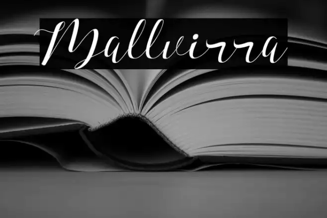 Mallvirra Example 1