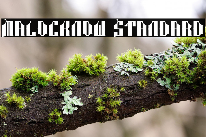 Malocknow Standard Example 2