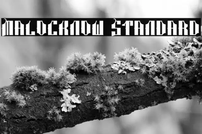 Malocknow Standard Font examples