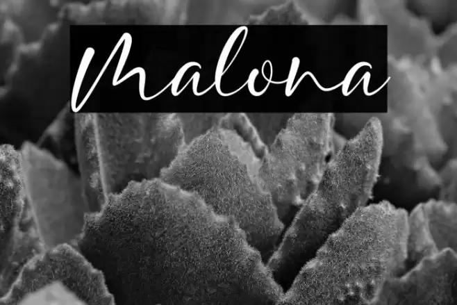 Malona Font examples