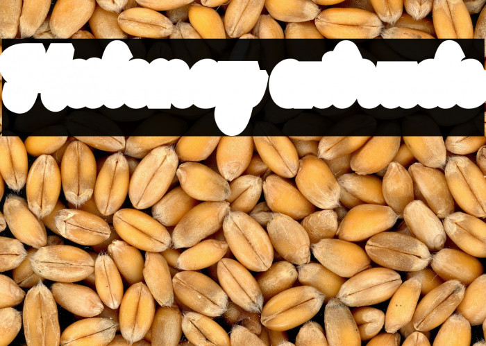 Maloney extrude Example 3