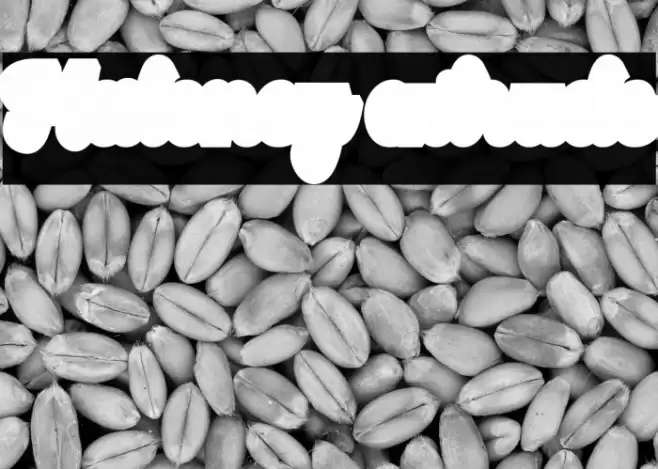 Maloney extrude Font examples