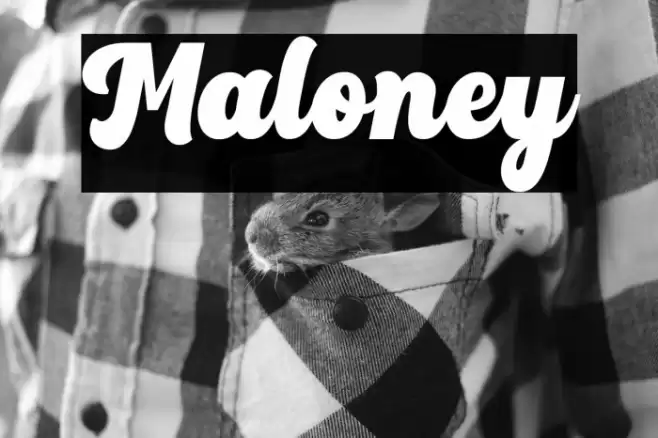 Maloney Font examples