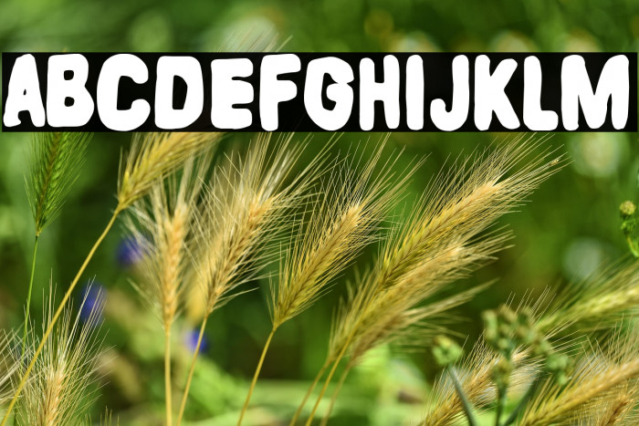 Malos Habitos Example 1