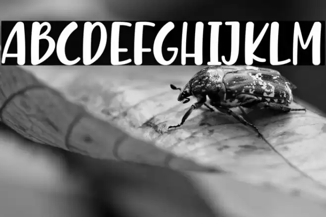 Malove Caratteri examples