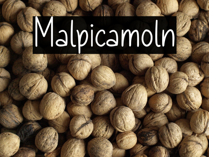 Malpicamoln Example 1