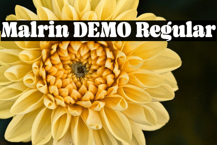 Malrin DEMO Regular Example 1