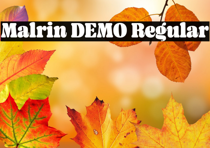 Malrin DEMO Regular Example 2